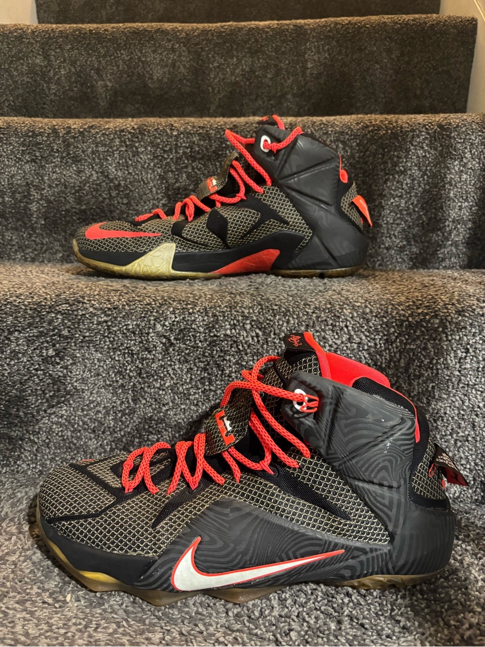 Nike LeBron 12 "Court Vision